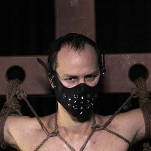 BDSM leather mask
