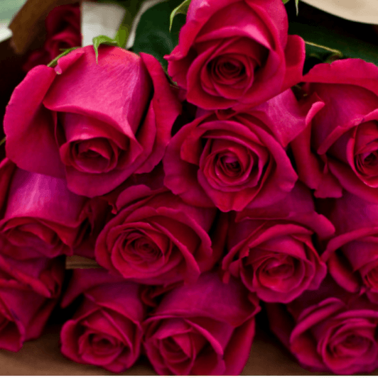 Roses for me