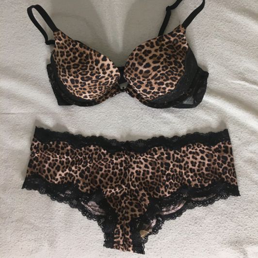 Sexy Leopard Print Bra Panty Set