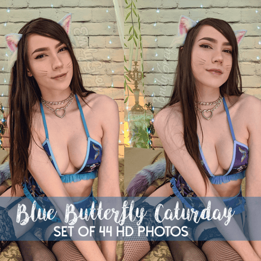 Blue Butterfly Caturday Photoset