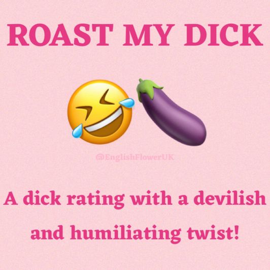 Roast My Dick Humiliating Dick Rating