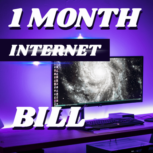 1 Month internet bill