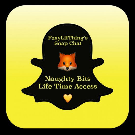 Life Time Fox Snap Chat