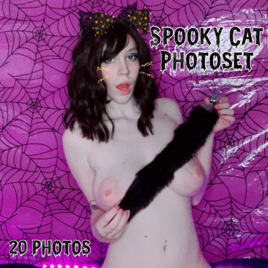 2019 Spooky Cat Photoset