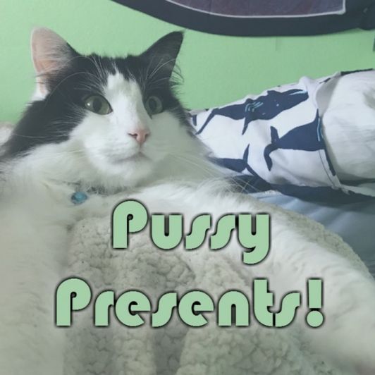 Spoil My Cat with Pussy Presents!