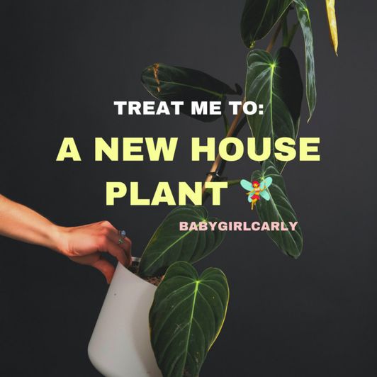 Buy me a plant
