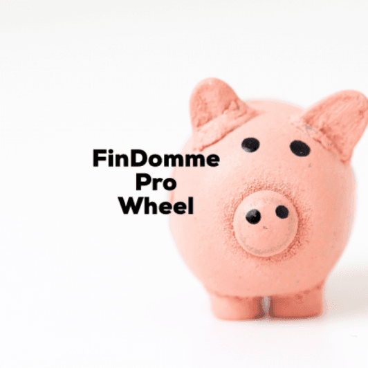 FinDomme Pro Wheel