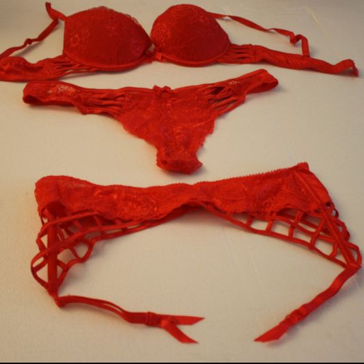 Bra and thong lingerie set and red garte