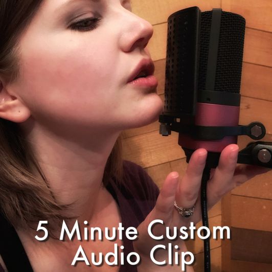 5 minute custom audio clip