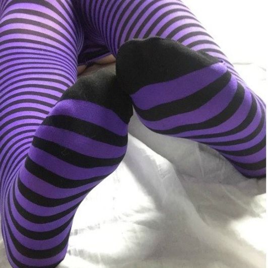 Purple and Black Striped Tights