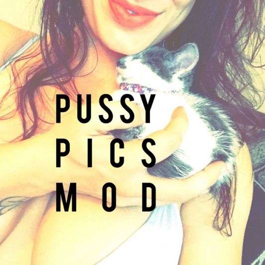 Pussy Pic Snapchat Mod