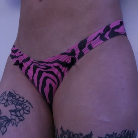 Pink Zebra Bikini Style Panties