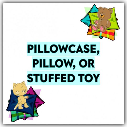 Pillowcase Pillow OR Stuffed Plush Toy
