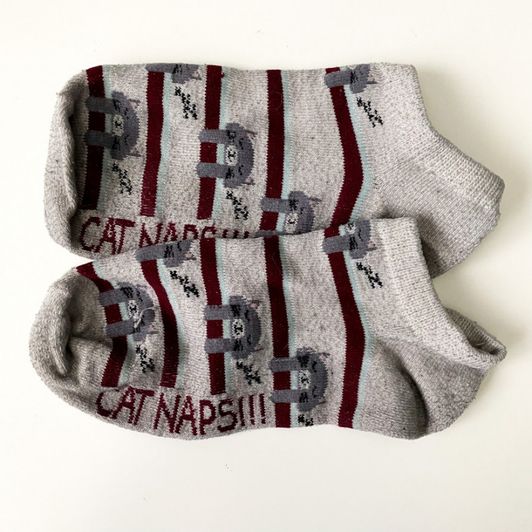 Cat Naps Dingy Socks