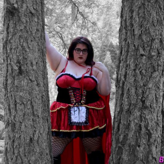 Red Riding Hood Costume Plus Size