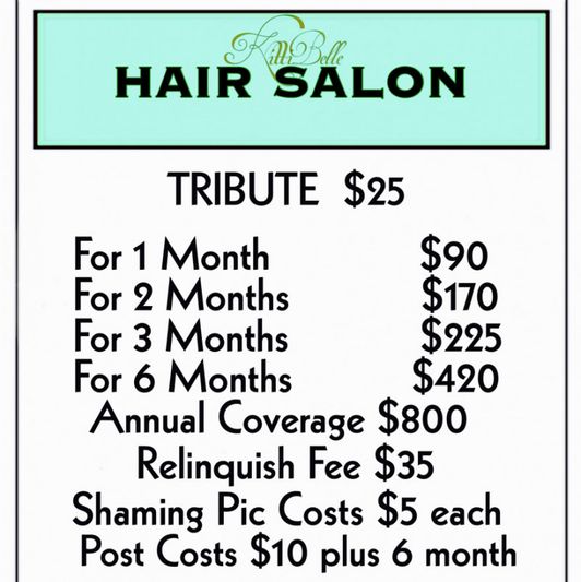 Hair Salon Tribute 25