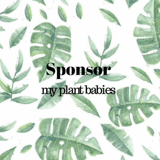 Sponsor: my plant babies
