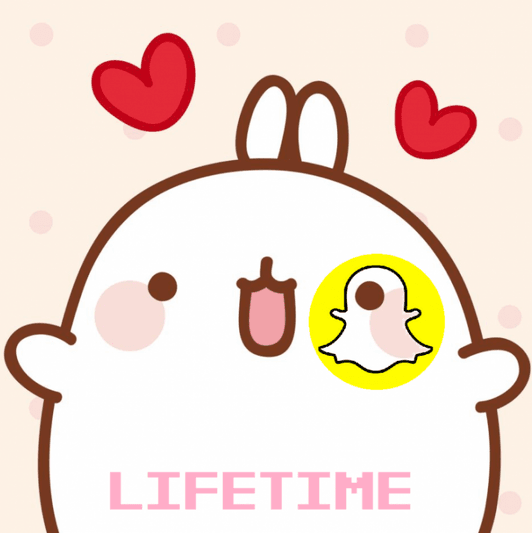 Premium Snapchat for Life!