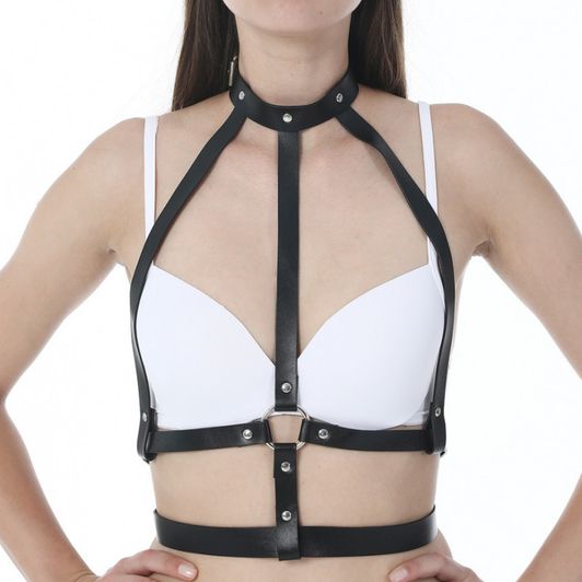 Sexy Leather Harness