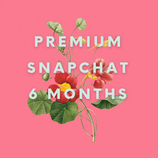 Premium Snapchat: 6 Months