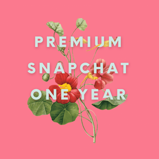 Premium Snapchat: One Year