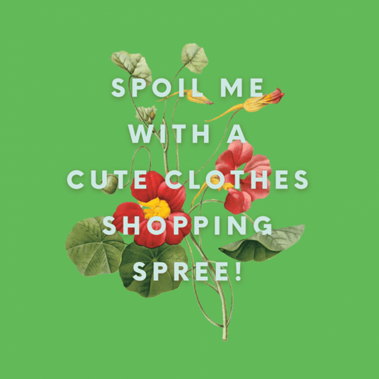 Spoil Me with a Clothes Shopping Spree!