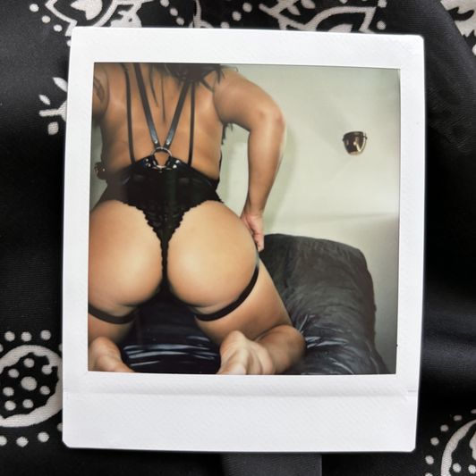 A View from Behind Polaroid