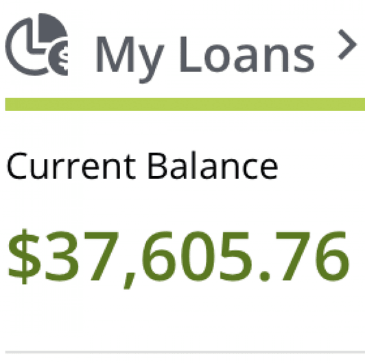 Student Loans for the Biggest Pay Pigs