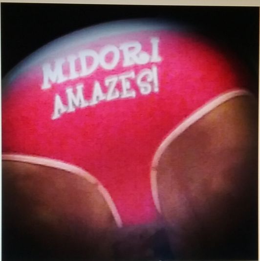 Midoris personalized panties