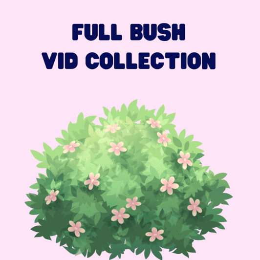 Full Bush Video Collection
