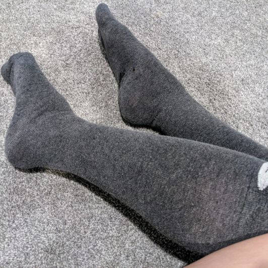 Knee high Socks Bear Design