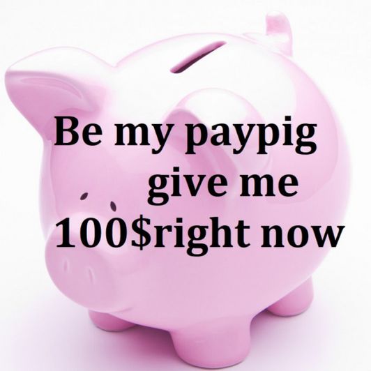 Pay me now paypig!