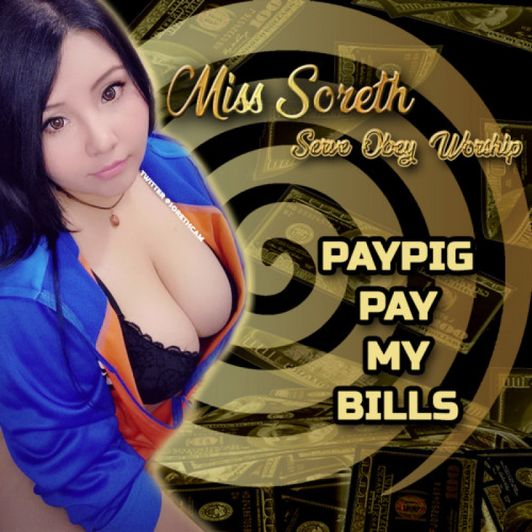 PAYPIG PAY MY BILLS TO THE WEEKLY