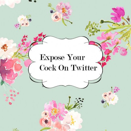 Expose your cock on twitter