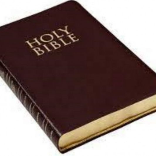Holy Bible Shipped to You