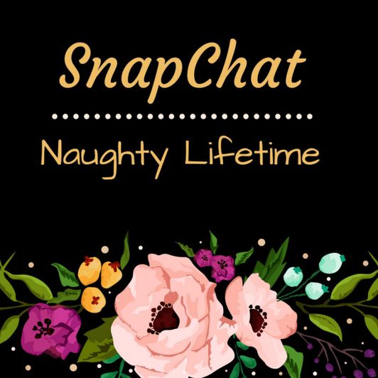 Snapchat: Naughty Lifetime