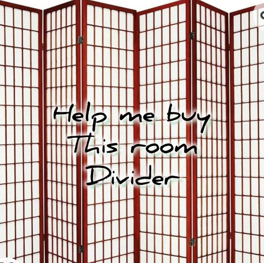 HELP ME BUY THIS ROOM DIVIDER