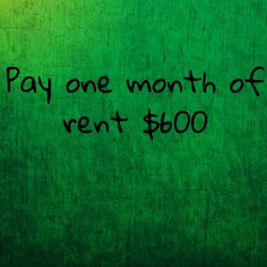Pay one month of kittens rent