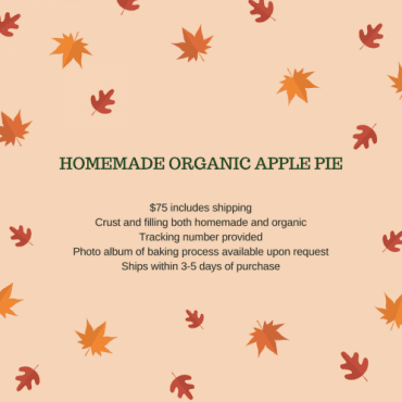 9in Homemade Organic Apple Pie