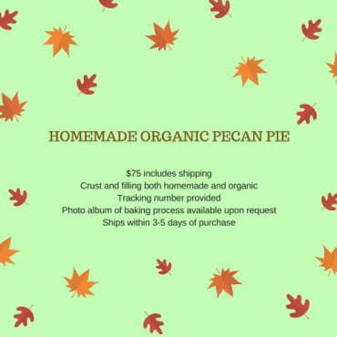 9in Homemade Organic Pecan Pie