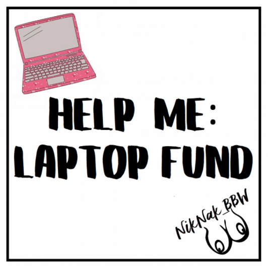 Help me fund a new laptop