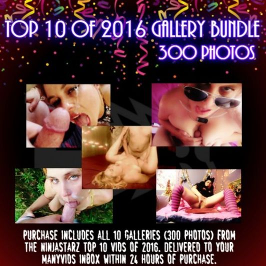 Top 10 Of 2016 Gallery Bundle 300 Photos