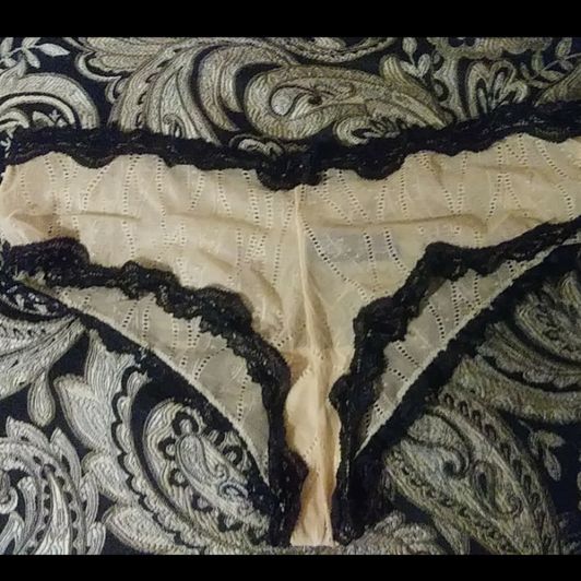 See through tan panties with lace