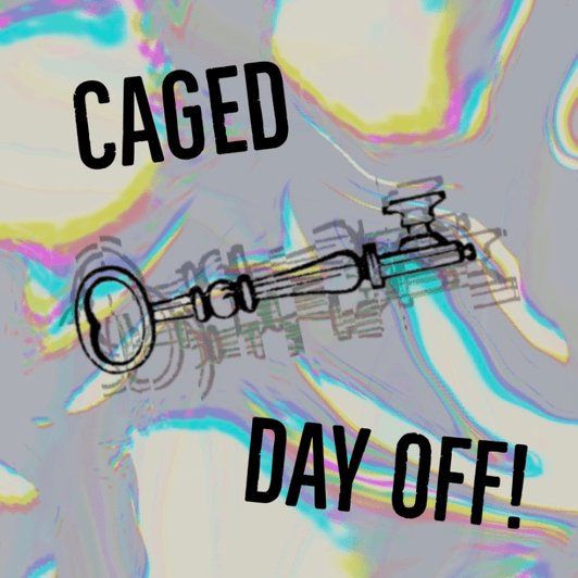 Cock Cage Day Off