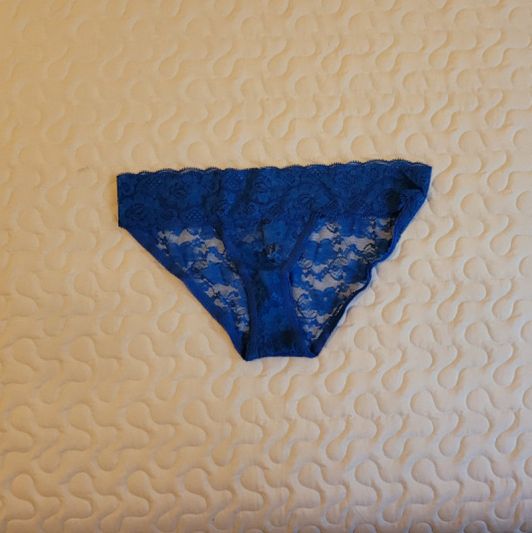 Royal Blue Lace Bikini Panty
