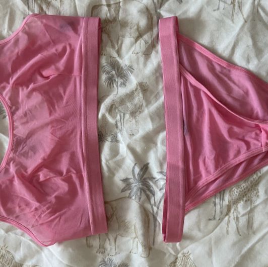 Pink Bra and Panties