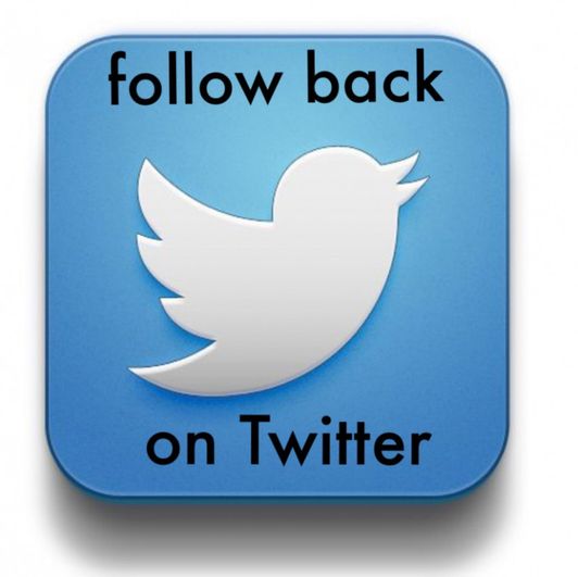 Follow Back on Twitter
