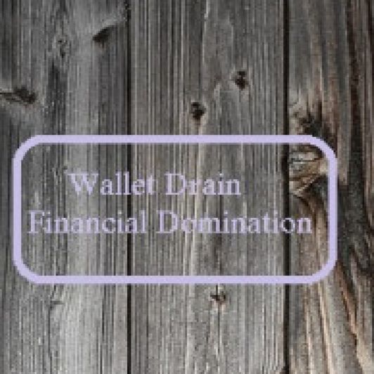 Wallet Drain Financial Domination