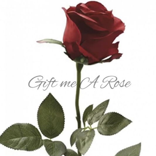 Gift me a Rose for my Birthday