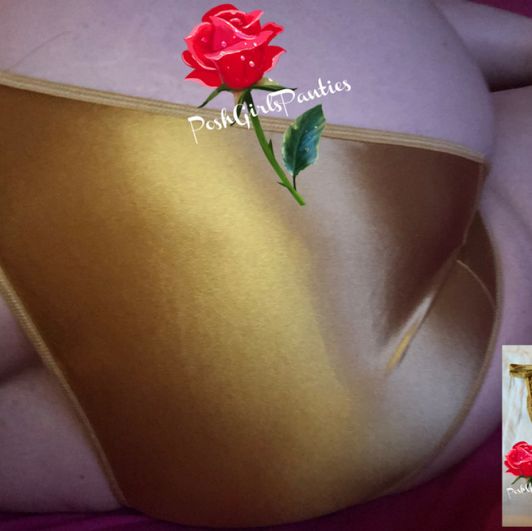 Sold!! Poshs sexy gold satin panties